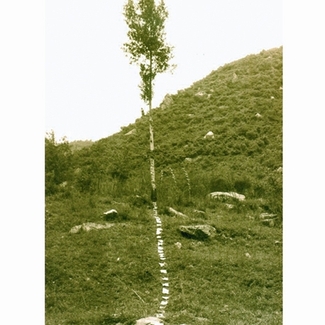 Guangjuan Zhnag